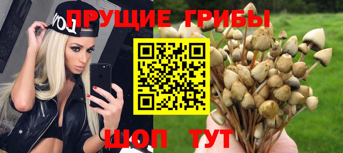 дарнет шоп  Псилоцибиновые грибы Magic Shrooms  Галлюциногенные грибы ЛСД  Вход с VPN  Электрогорск 