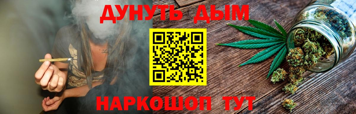 Канабис Ganja  Каннабис планчик  Вход с VPN  Электрогорск 